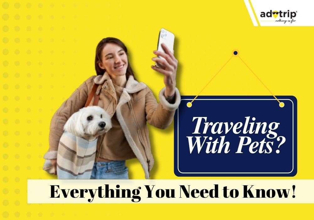 Travel with Pets